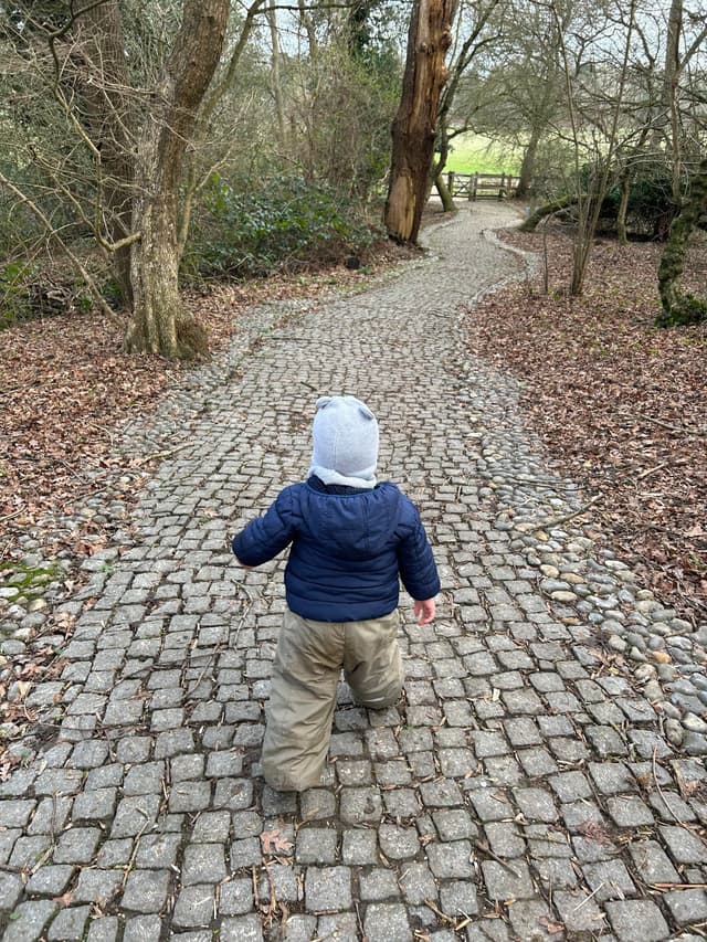 Runnymede and Ankerwycke